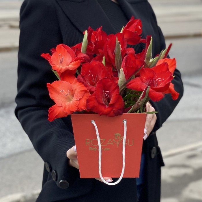 3 красных гладиолуса в коробочке