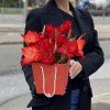 3 красных гладиолуса в коробочке
