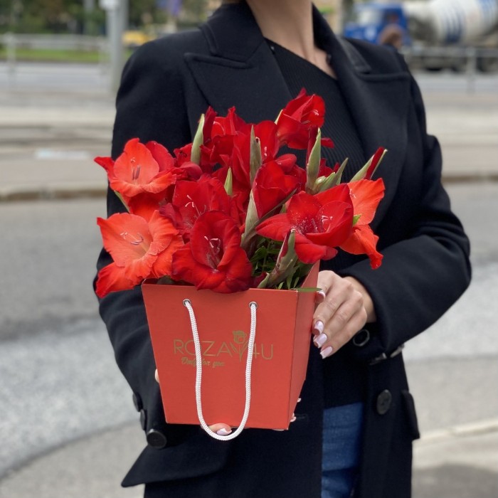 3 красных гладиолуса в коробочке