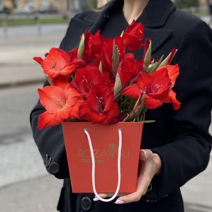 3 красных гладиолуса в коробочке