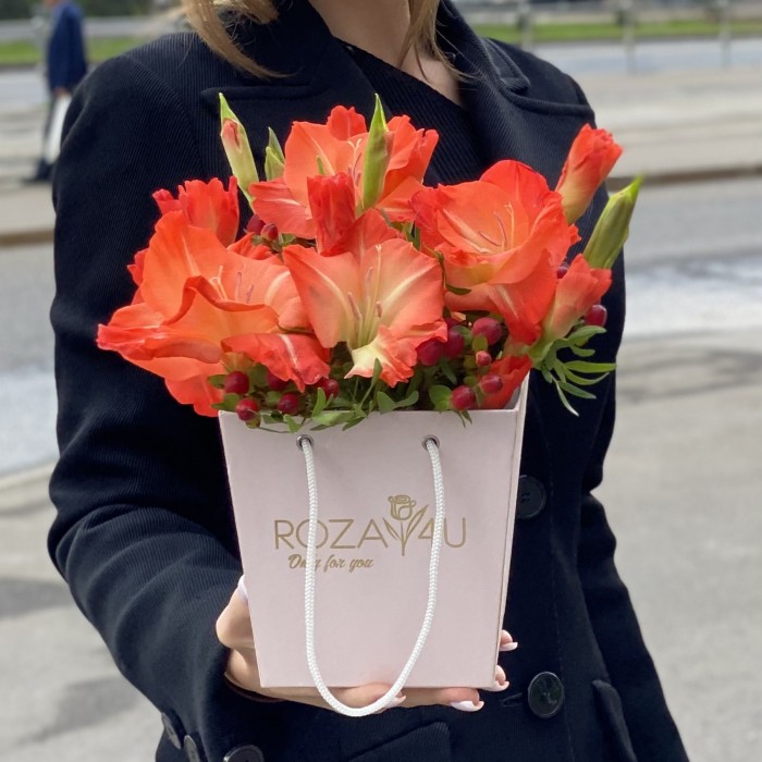 3 коралловых гладиолуса в коробочке