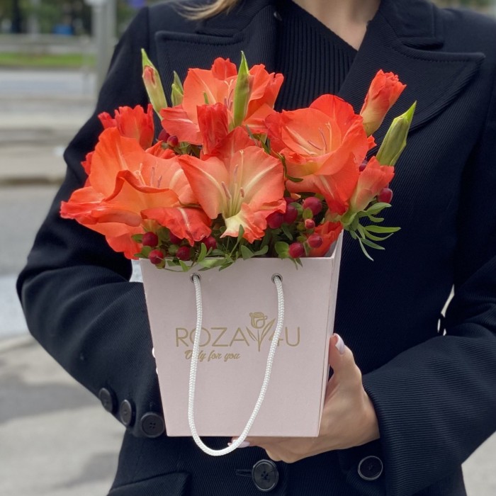 3 коралловых гладиолуса в коробочке