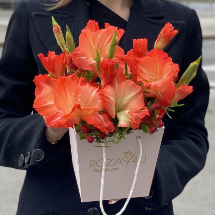 3 коралловых гладиолуса в коробочке
