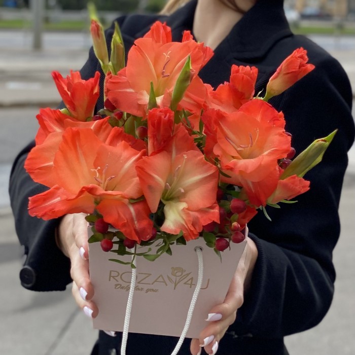 3 коралловых гладиолуса в коробочке