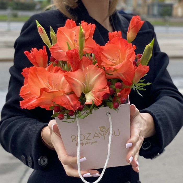 3 коралловых гладиолуса в коробочке