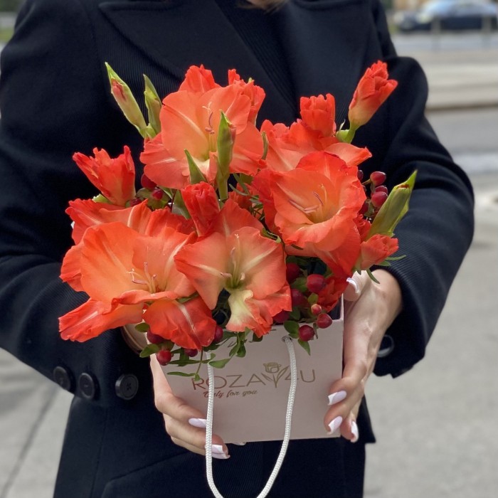 3 коралловых гладиолуса в коробочке
