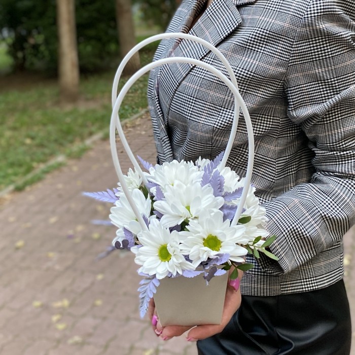 Белая кустовая хризантема Бакарди в сумочке