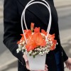 Композиция с коралловым гладиолусом и гипсофилой в сумочке