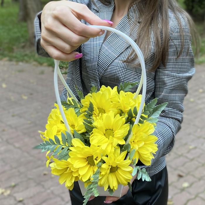Желтая кустовая хризантема в сумочке
