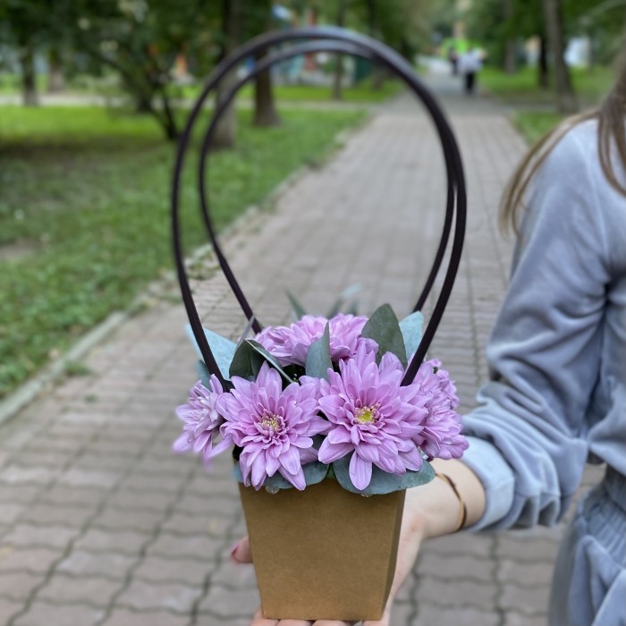 Сиреневая кустовая хризантема Балтика в сумочке