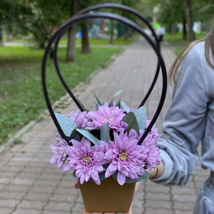 Сиреневая кустовая хризантема Балтика в сумочке