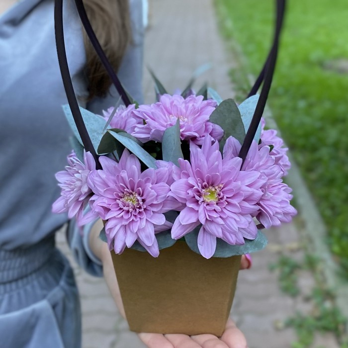 Сиреневая кустовая хризантема Балтика в сумочке