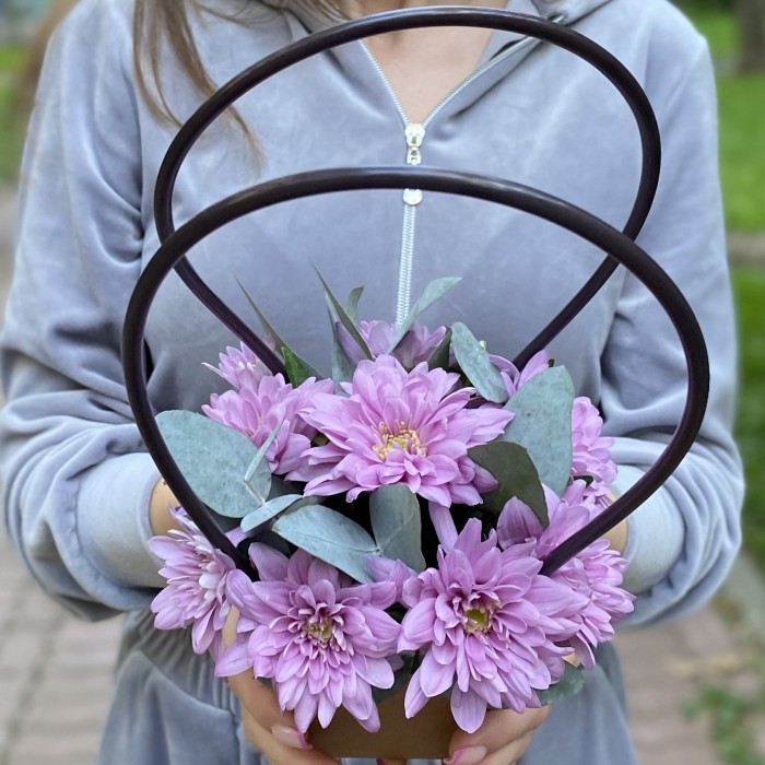 Сиреневая кустовая хризантема Балтика в сумочке