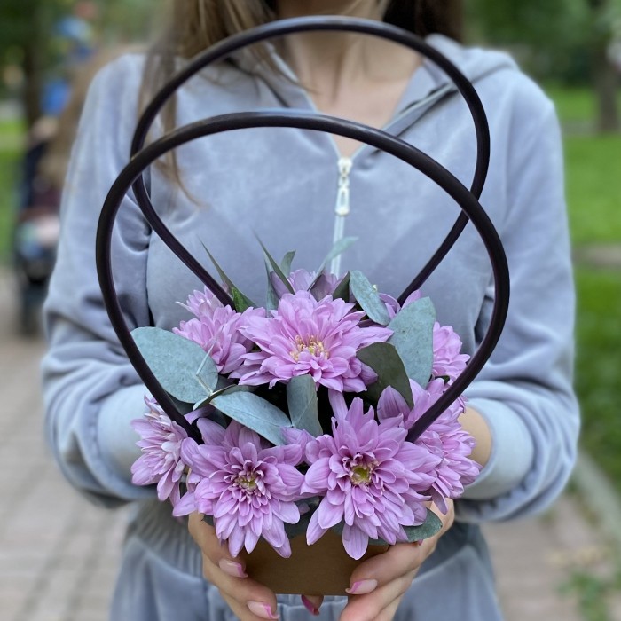 Сиреневая кустовая хризантема Балтика в сумочке