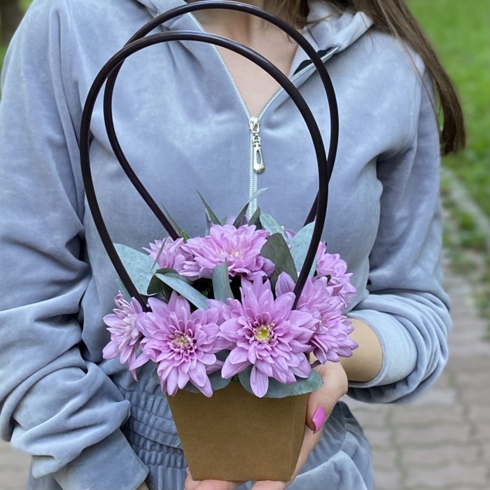 Сиреневая кустовая хризантема Балтика в сумочке