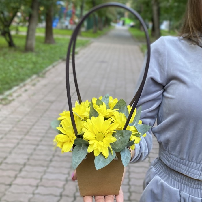 Желтая кустовая хризантема Бакарди в сумочке