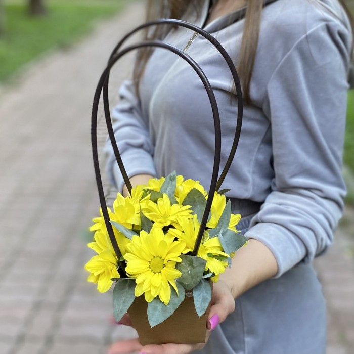 Желтая кустовая хризантема Бакарди в сумочке