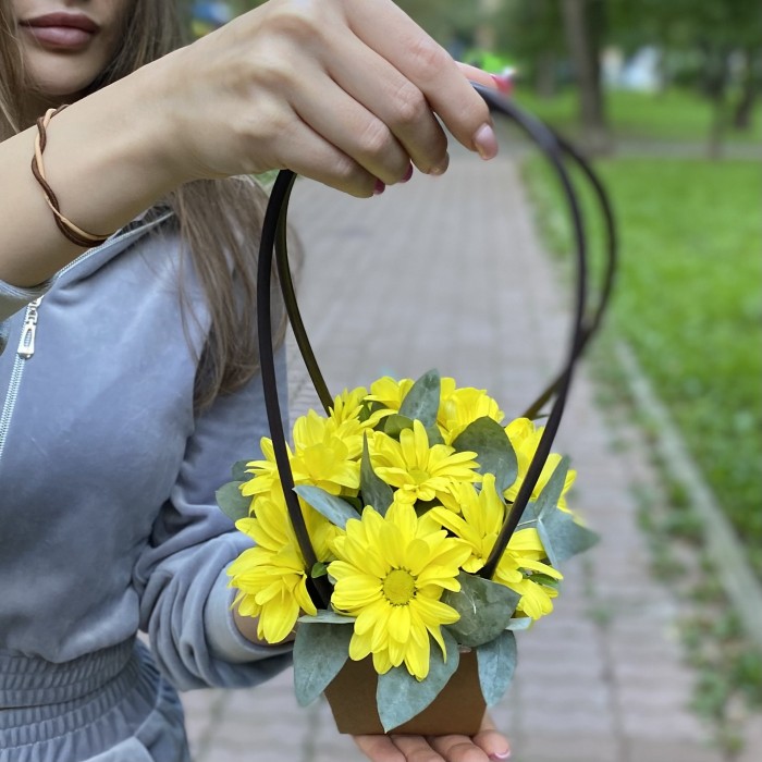Желтая кустовая хризантема Бакарди в сумочке