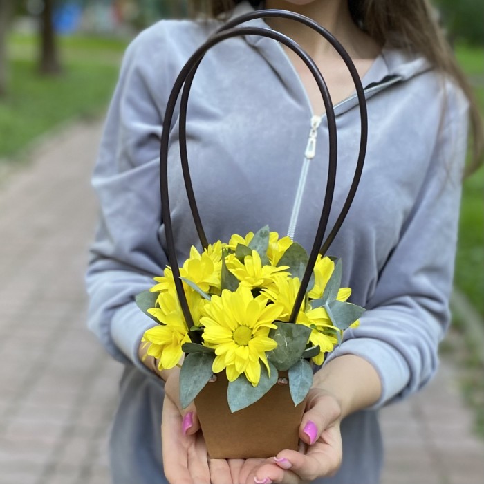 Желтая кустовая хризантема Бакарди в сумочке