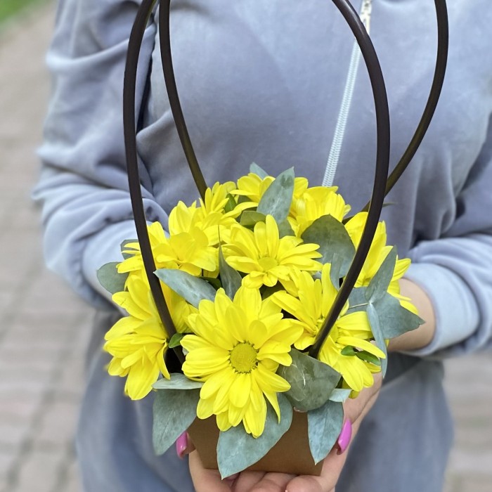 Желтая кустовая хризантема Бакарди в сумочке