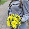 Желтая кустовая хризантема Бакарди в сумочке