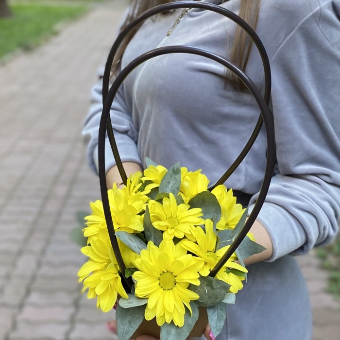 Желтая кустовая хризантема Бакарди в сумочке