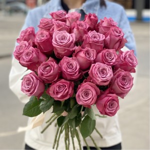 Роза Дионсис