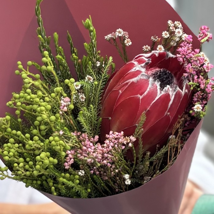 Экзотический микс с протеей