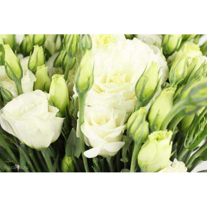 Букет из белой эустомы