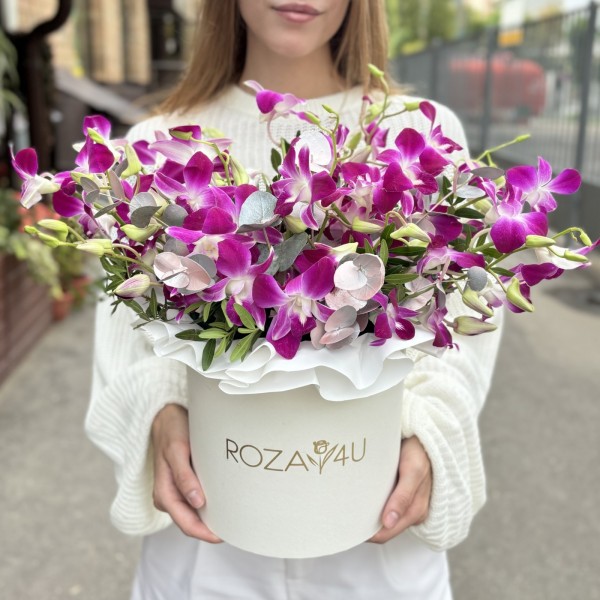 Фиолетовая орхидея дендробиум в коробке