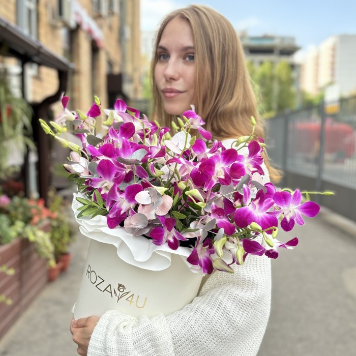 Фиолетовая орхидея дендробиум в коробке