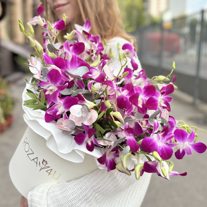 Фиолетовая орхидея дендробиум в коробке