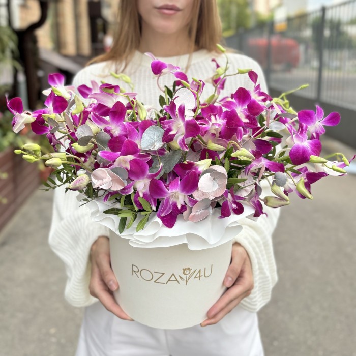 Фиолетовая орхидея дендробиум в коробке