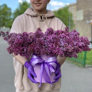 Ароматная сирень