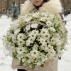 Корзина душистых хризантем и ромашек