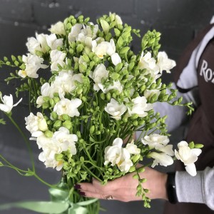 Описание изображения