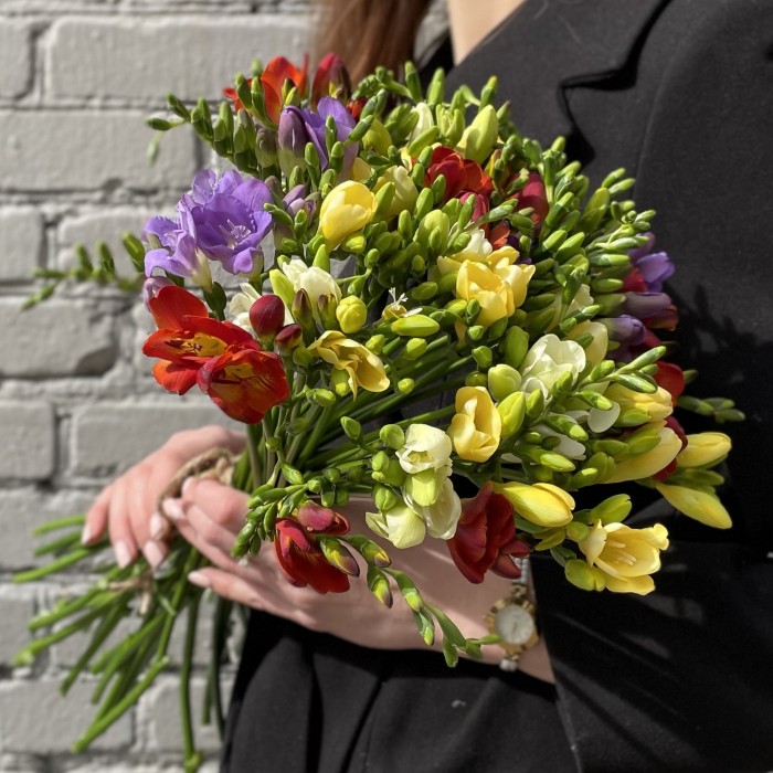 Фрезия микс