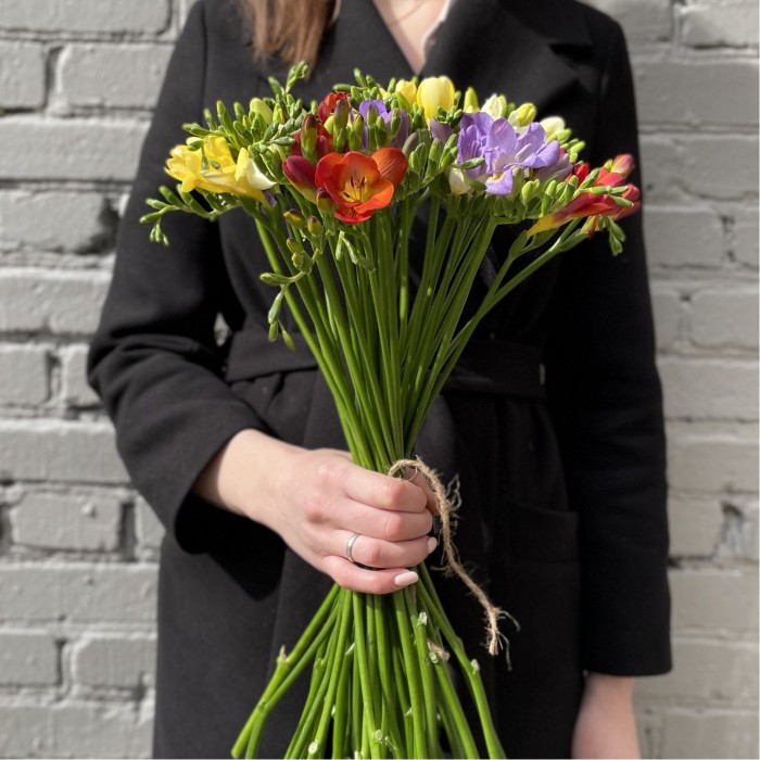 Фрезия микс