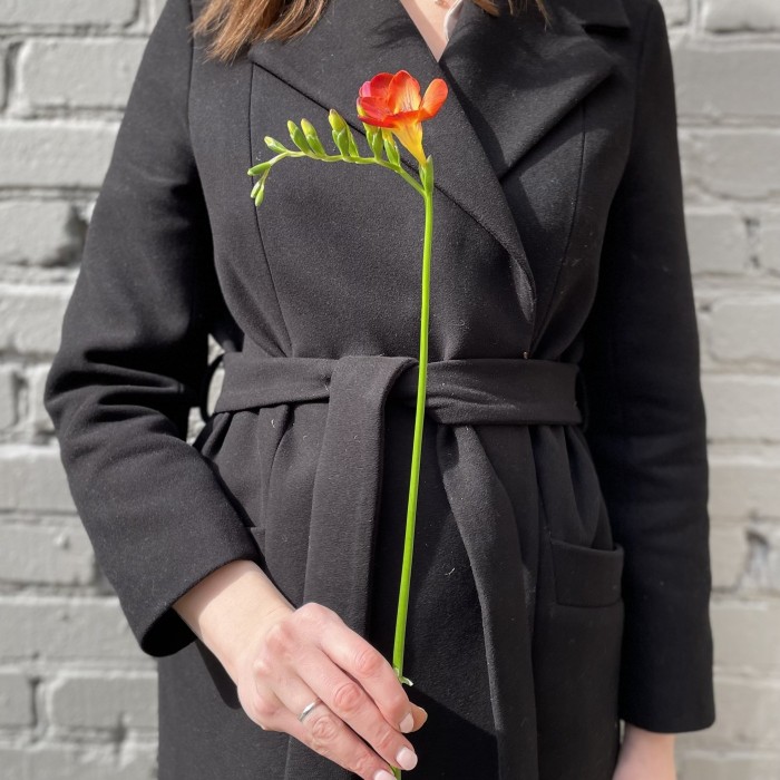 Фрезия микс