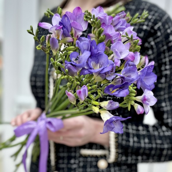 Фрезия фиолетовая