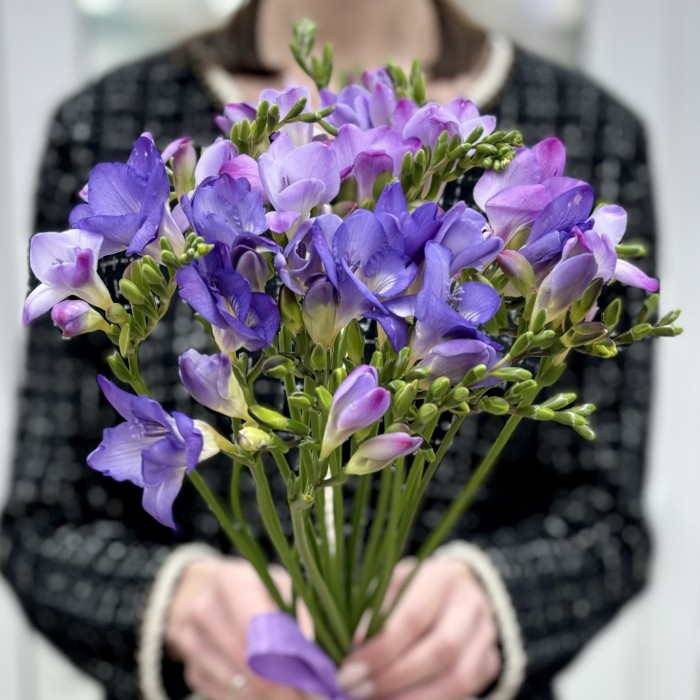 Фрезия фиолетовая