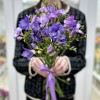 Фрезия фиолетовая