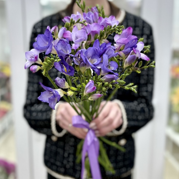 Фрезия фиолетовая