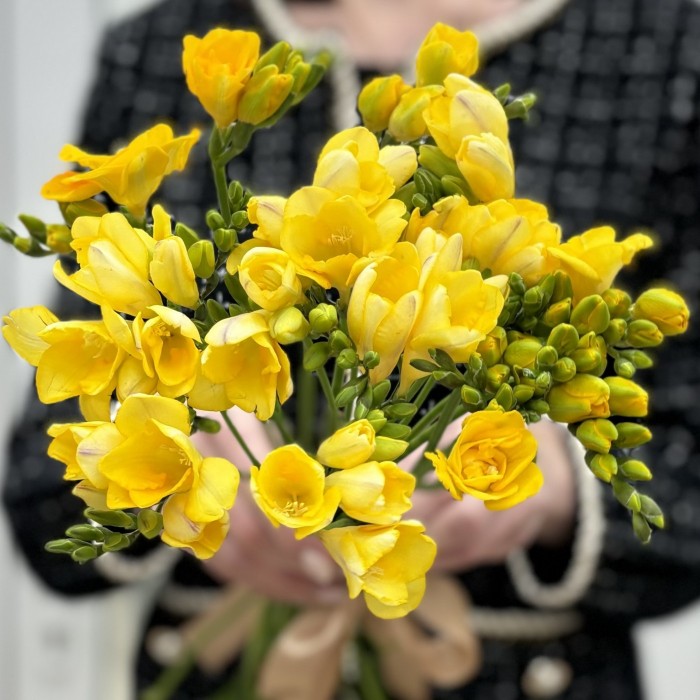 Фрезия желтая