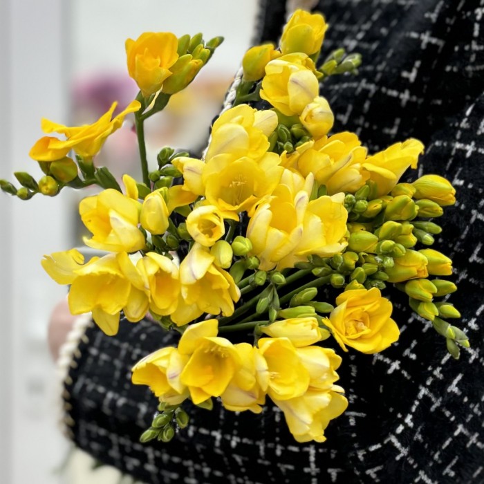 Фрезия желтая