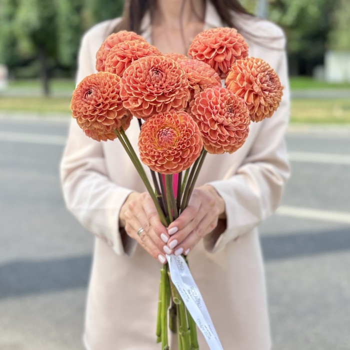 Георгин коричнево-желтый помпон