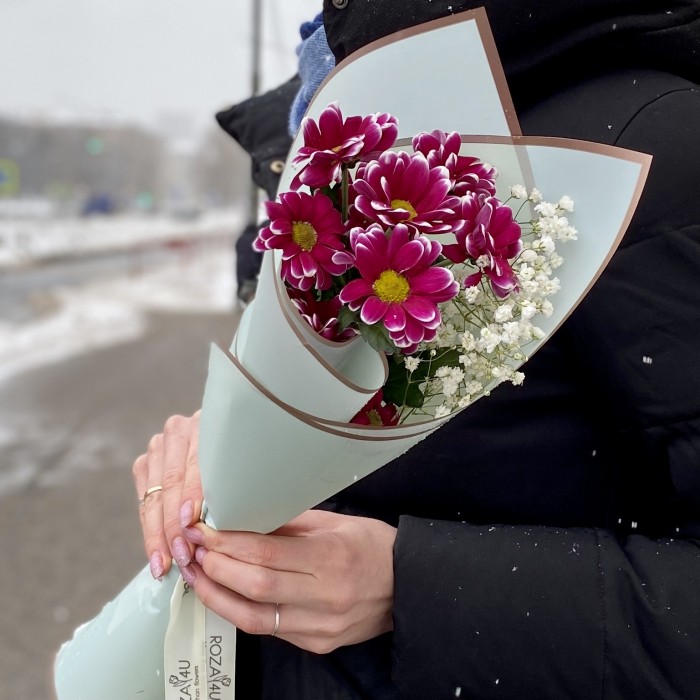 Хризантема Хайдар с гипсофилой