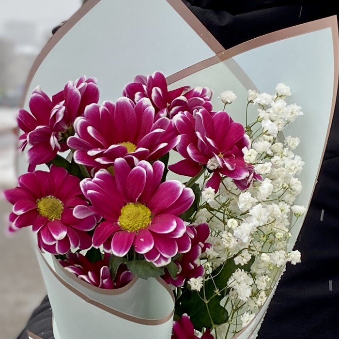 Хризантема Хайдар с гипсофилой