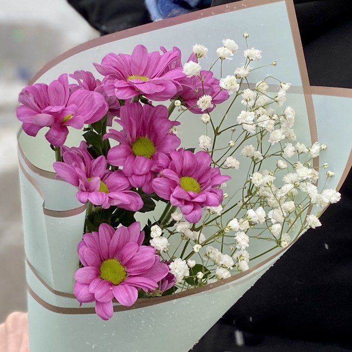 Хризантема Катинка с гипсофилой