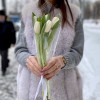 Корпоративный букет белые тюльпаны